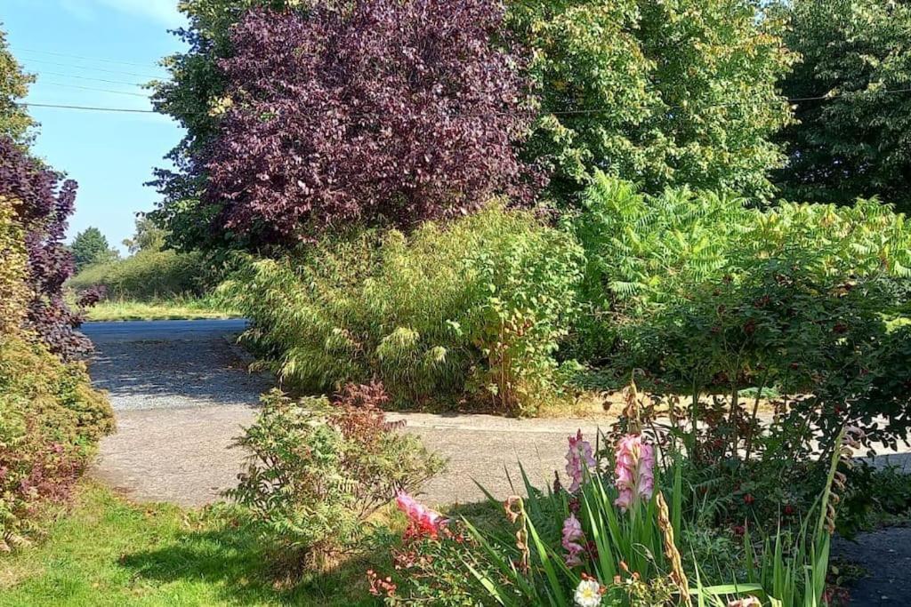 Millfields Cottage And Garden Goxhill  Eksteriør billede